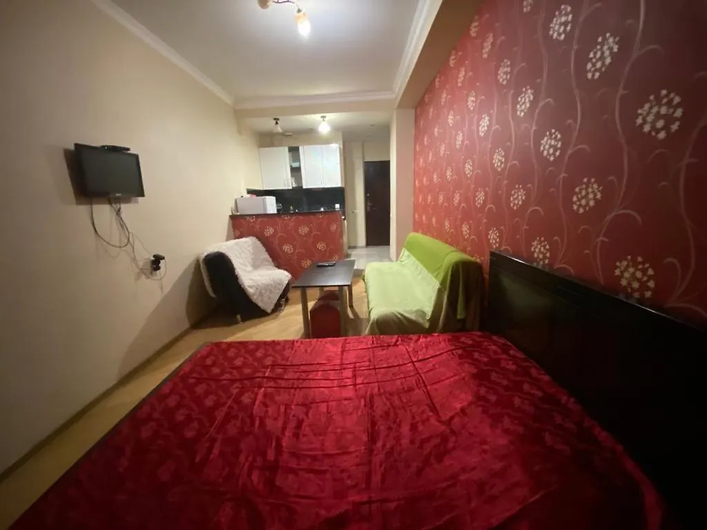 Center Tbilisi Apartment Georgia